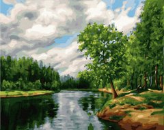 Фото Картина за номерами Лісова річка (BK-GX4635) (Без коробки) від інтернет-магазину картин-розмальовок Sylarozumu.com.ua