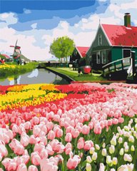 Фото Картина за номерами Голландська провінція (BSM-B52716) від інтернет-магазину картин-розмальовок Sylarozumu.com.ua