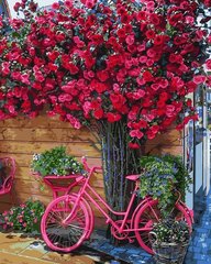 Фото Живопис по номерам Велосипед на квітковому тлі (MR-Q2270) Mariposa від інтернет-магазину картин-розмальовок Sylarozumu.com.ua