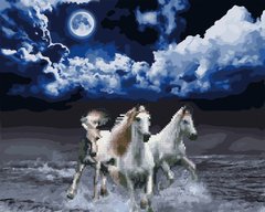 Фото Алмазна картина Білі коні (GZS1154) (Без коробки) від інтернет-магазину картин-розмальовок Sylarozumu.com.ua
