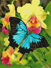 Фото Картина з страз Блакитний метелик НікіТошка (EJ1275) від інтернет-магазину рукоділля Sylarozumu.com.ua