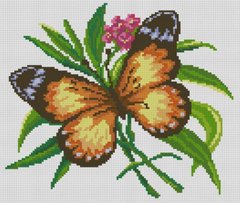 Фото Алмазна вишивка Метелик (28 х 33 см) Dream Art (DA-31756) від інтернет-магазину рукоділля Sylarozumu.com.ua