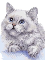 Фото Розмальовка по номерах Білий кіт (AS0311) ArtStory (Без коробки) від інтернет-магазину картин-розмальовок Sylarozumu.com.ua