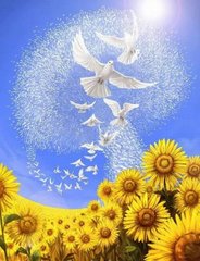 Фото Алмазна вишивка Голуби миру ColorArt (CLR-PST483) від інтернет-магазину рукоділля Sylarozumu.com.ua