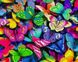 Комплектація Алмазна мозаїка Небо у бабочках My Art (MRT-TN1124) від інтернет-магазину наборів для рукоділля Sylarozumu.com.ua