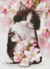 Фото Алмазна живопис Пухнасте кошеня Ідейка (AMO7577) від інтернет-магазину рукоділля Sylarozumu.com.ua