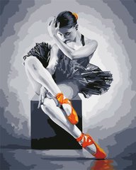 Фото Розмальовка по номерах Балерина (AS0566) ArtStory від інтернет-магазину картин-розмальовок Sylarozumu.com.ua