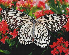 Фото Картина з страз Метелик на квітах Брашмі (GF3482) від інтернет-магазину рукоділля Sylarozumu.com.ua