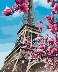 Фото Картини за номерами Цвітіння магнолій у Парижі (BSM-B32320) від інтернет-магазину картин-розмальовок Sylarozumu.com.ua