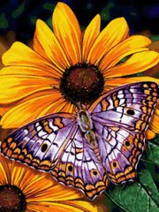 Фото Картина з страз Метелик на квітці ТМ Алмазна мозаіка (DMF-177) від інтернет-магазину рукоділля Sylarozumu.com.ua