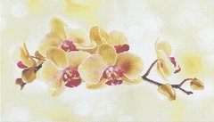 Фото Алмазна живопис Орхідея Алмазна мозаіка (OSH002) від інтернет-магазину рукоділля Sylarozumu.com.ua
