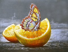 Фото Картина з страз Метелик на апельсині ТМ Алмазна мозаіка (DMF-180) від інтернет-магазину рукоділля Sylarozumu.com.ua