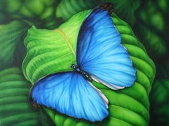 Фото Картина з страз Синя метелик ТМ Алмазна мозаіка (DMF-181) від інтернет-магазину рукоділля Sylarozumu.com.ua