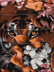 Фото Розмальовка для дорослих Погляд тигра (ASW251) ArtStory від інтернет-магазину картин-розмальовок Sylarozumu.com.ua