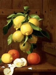 Фото Алмазна вишивка Натюрморт з лимонами та апельсинами худ. Antonio Mensaque Діамантові ручки (GU_189684) від інтернет-магазину рукоділля Sylarozumu.com.ua