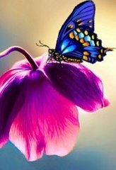 Фото Алмазна вишивка Метелик на квітці My Art (MRT-TN044) від інтернет-магазину рукоділля Sylarozumu.com.ua