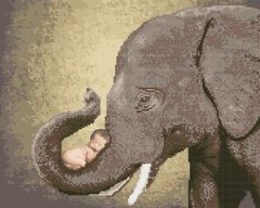 Фото Алмазні картини Слон з дитиною (BGZS1149) від інтернет-магазину картин-розмальовок Sylarozumu.com.ua