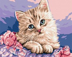 Фото Розмальовка по номерах Синьооке кошеня (BSM-B29696) від інтернет-магазину картин-розмальовок Sylarozumu.com.ua