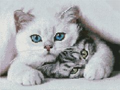 Фото Картина зі страз Кошенята Алмазна мозаіка (OSG030) від інтернет-магазину рукоділля Sylarozumu.com.ua