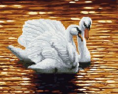 Фото Алмазна картина Лебеді на заході (BGZS1112) від інтернет-магазину картин-розмальовок Sylarozumu.com.ua