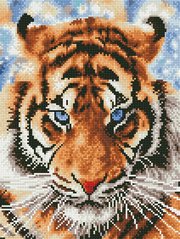 Фото Алмазна вишивка Тигр Rainbow Art (EJ1413) від інтернет-магазину рукоділля Sylarozumu.com.ua
