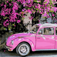Фото Розмальовка для дорослих Рожеве авто (AS0224) ArtStory (Без коробки) від інтернет-магазину картин-розмальовок Sylarozumu.com.ua