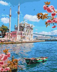 Фото Картина по номерам Невероятная Турция (BRM37783) от интернет-магазина картин-раскрасок Sylarozumu.com.ua