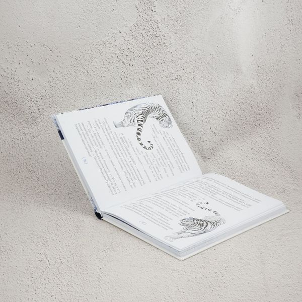 Магазин счастья книга в магазине Sylarozumu.com.ua