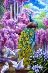Фото Картина из страз Павлин и голуби ТМ Алмазная мозаика (DMF-302, ) от интернет-магазина рукоделия Sylarozumu.com.ua