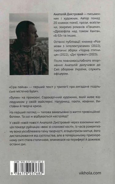 Книга Сіра пейна купити в інтернет-магазині Sylarozumu.com.ua
