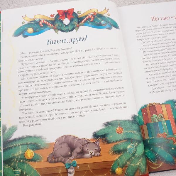Книга Різдвяна подорож купити в інтернет-магазині Sylarozumu.com.ua