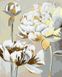 Комплектація Картина за номерами Білі піони (золоті фарби) (JX1048) (Без коробки) від інтернет-магазину товарів для творчості Sylarozumu.com.ua