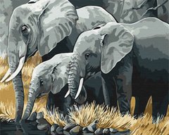 Фото Картина по номерам Семья слонов (BSM-B3810) от интернет-магазина картин-раскрасок Sylarozumu.com.ua