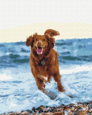Фото Холст для рисования Собачка в море (BSM-B51436) от интернет-магазина картин-раскрасок Sylarozumu.com.ua