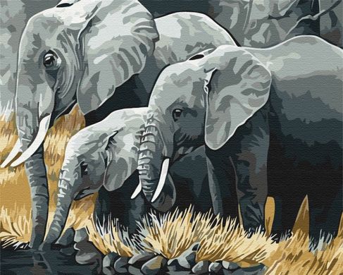 Фото Картина за номерами Сім'я слонів (BSM-B3810) від інтернет-магазину картин-розмальовок Sylarozumu.com.ua
