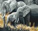 Комплектація Картина за номерами Сім'я слонів (BSM-B3810) від інтернет-магазину товарів для творчості Sylarozumu.com.ua