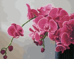 Фото Алмазная картина Орхидея (GZS1155) (Без коробки) от интернет-магазина картин-раскрасок Sylarozumu.com.ua