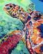 Комплектація Картина за номерами Райдужна черепаха (AS0076) ArtStory від інтернет-магазину товарів для творчості Sylarozumu.com.ua