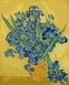 Комплектація Картини за номерами Іриси худ. Vincent van Gogh (GVR-180634) Діамантові ручки (Без коробки) від інтернет-магазину товарів для творчості Sylarozumu.com.ua