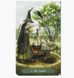 Колода Карты Таро Зеленой Ведьмы (подарочный набор: книга и колода карт) фотографии от интернет-магазина Sylarozumu.com.ua