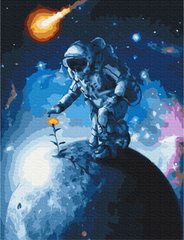 Фото Картина по номерам Цветы Вселенной (BSM-B38452) от интернет-магазина картин-раскрасок Sylarozumu.com.ua
