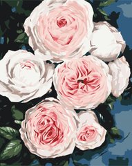 Фото Картина за номерами Бутони пишних троянд (BSM-B40586) від інтернет-магазину картин-розмальовок Sylarozumu.com.ua