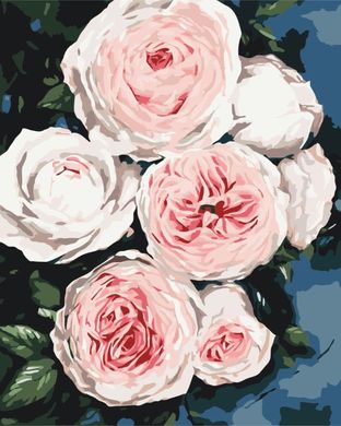 Фото Картина по номерам Бутоны пышных роз (BSM-B40586) от интернет-магазина картин-раскрасок Sylarozumu.com.ua