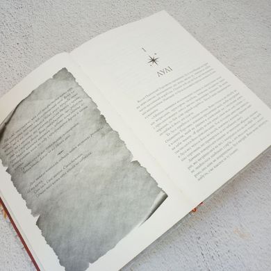 Крадій зоряного пилу Limited edition книга в інтернет-магазині Sylarozumu.com.ua