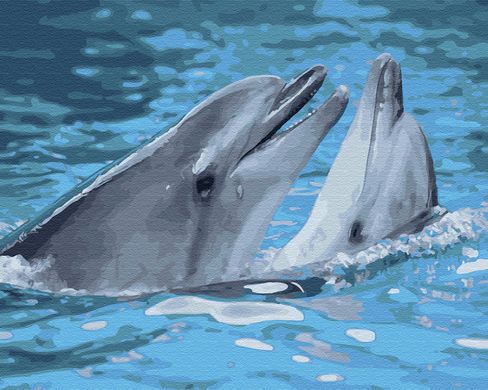 Фото Картина по номерам Пара дельфинов (BK-GX33064) (Без коробки) от интернет-магазина картин-раскрасок Sylarozumu.com.ua