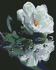 Фото Алмазная мозаика Белая роза ColorArt (CLR-PSP123, На подрамнике) от интернет-магазина рукоделия Sylarozumu.com.ua
