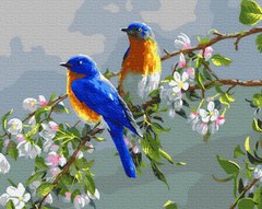 Фото Картина по номерам Сакура и птицы (BRM26173) от интернет-магазина картин-раскрасок Sylarozumu.com.ua