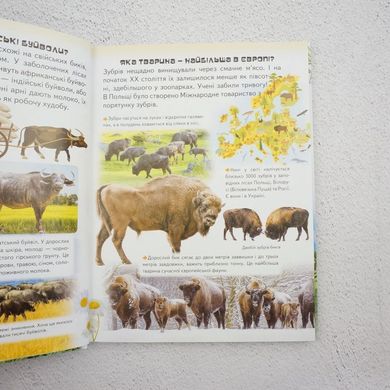 Дивовижна енциклопедія про тварин книга в інтернет-магазині Sylarozumu.com.ua