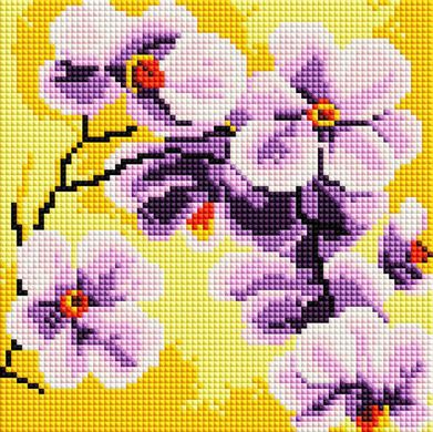 Фото Картина из страз Орхидеи ColorArt (CLR-PDD1214, На подрамнике) от интернет-магазина рукоделия Sylarozumu.com.ua