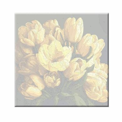 Фото Картина за номерами Тюльпани. ДВП (кольорова схема) (AS2026) ArtStory (Без коробки) від інтернет-магазину картин-розмальовок Sylarozumu.com.ua